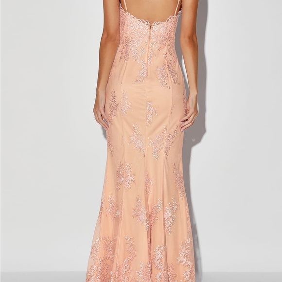 Blush Embroidered Sleeveless Maxi Dress - Picture 3 of 7